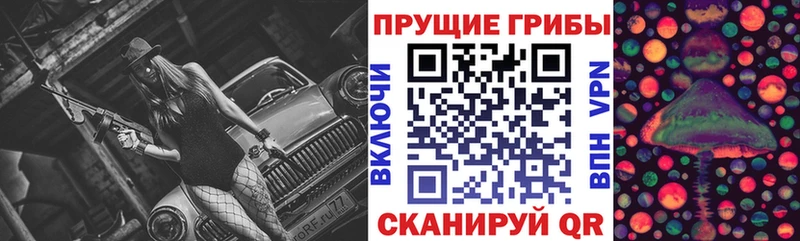 darknet какой сайт  Кириши  Псилоцибиновые грибы мухоморы 